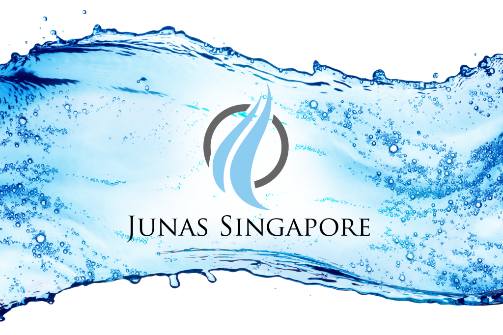 junas singapore